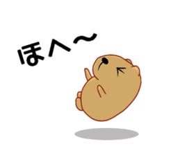 Kyapibara and Aja Rappii sticker #8658409