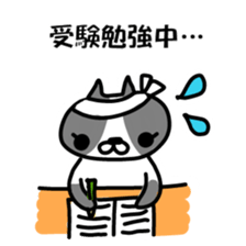 Cat love 2 sticker #8658475