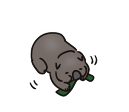 Wombat of Sticker sticker #8661235