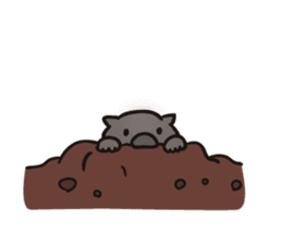 Wombat of Sticker sticker #8661247