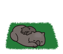 Wombat of Sticker sticker #8661250