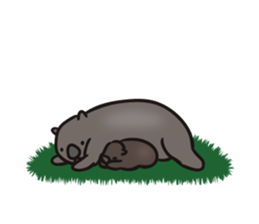 Wombat of Sticker sticker #8661251
