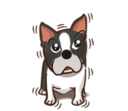 There are 40 dogs sticker #8661890