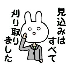 Business of the insurance 2