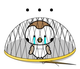 Chirm of Bocci. sticker #8663929