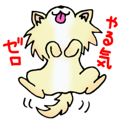 Cream-colored puppy2