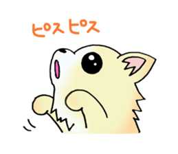 Cream-colored puppy2 sticker #8665392