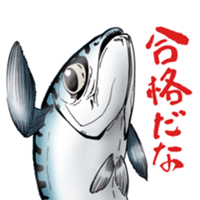 Mackerel sticker #8668195