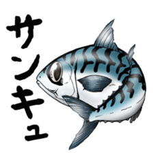Mackerel sticker #8668204