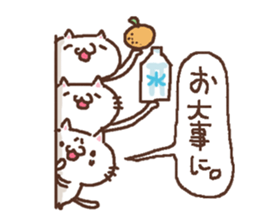 Greeting winter cat sticker #8672562