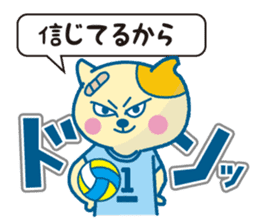 The cat which likes volleyball sticker #8674605