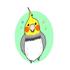 Pretty Mr,cockatiel