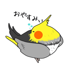 Pretty Mr,cockatiel sticker #8675868