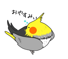Pretty Mr,cockatiel sticker #8675868
