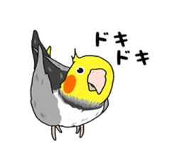 Pretty Mr,cockatiel sticker #8675872