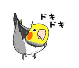Pretty Mr,cockatiel sticker #8675872