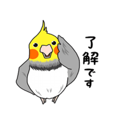 Pretty Mr,cockatiel sticker #8675874