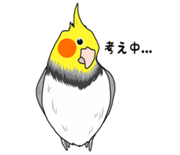 Pretty Mr,cockatiel sticker #8675875