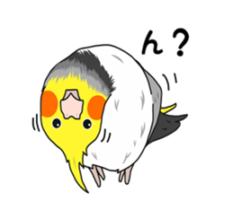Pretty Mr,cockatiel sticker #8675876