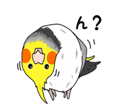 Pretty Mr,cockatiel sticker #8675876