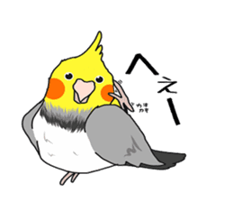 Pretty Mr,cockatiel sticker #8675878
