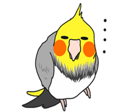 Pretty Mr,cockatiel sticker #8675879