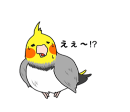 Pretty Mr,cockatiel sticker #8675880