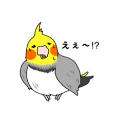 Pretty Mr,cockatiel sticker #8675880