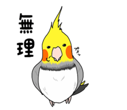 Pretty Mr,cockatiel sticker #8675881