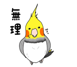Pretty Mr,cockatiel sticker #8675881