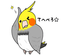 Pretty Mr,cockatiel sticker #8675883