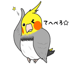 Pretty Mr,cockatiel sticker #8675883