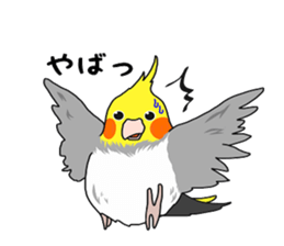 Pretty Mr,cockatiel sticker #8675884
