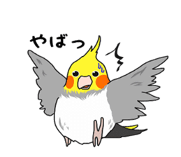 Pretty Mr,cockatiel sticker #8675884