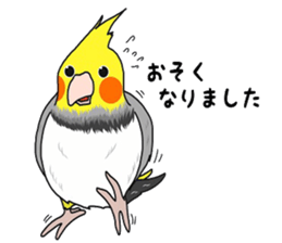 Pretty Mr,cockatiel sticker #8675885