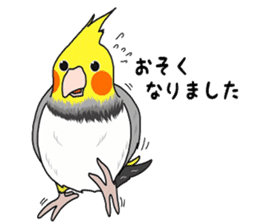 Pretty Mr,cockatiel sticker #8675885