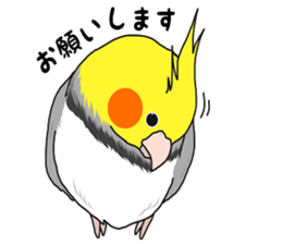 Pretty Mr,cockatiel sticker #8675886