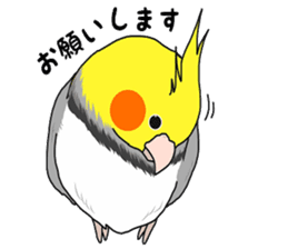 Pretty Mr,cockatiel sticker #8675886