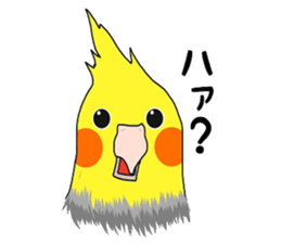 Pretty Mr,cockatiel sticker #8675888