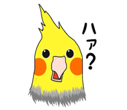 Pretty Mr,cockatiel sticker #8675888