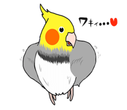 Pretty Mr,cockatiel sticker #8675892