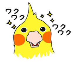Pretty Mr,cockatiel sticker #8675894