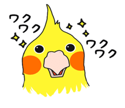 Pretty Mr,cockatiel sticker #8675894