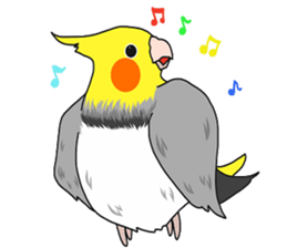 Pretty Mr,cockatiel sticker #8675897