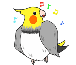 Pretty Mr,cockatiel sticker #8675897