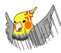 Pretty Mr,cockatiel sticker #8675899