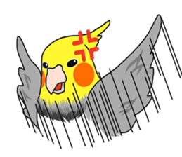 Pretty Mr,cockatiel sticker #8675899