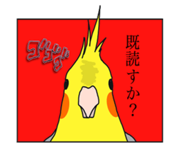 Pretty Mr,cockatiel sticker #8675900