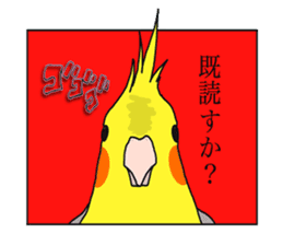 Pretty Mr,cockatiel sticker #8675900
