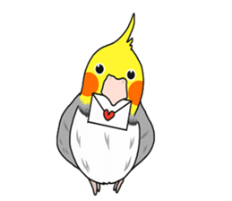 Pretty Mr,cockatiel sticker #8675901